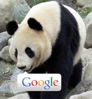 Google-Panda